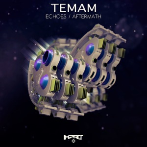 Aftermath / Echoes - Single