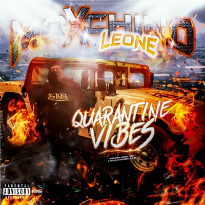 Quarantine Vibes - Single