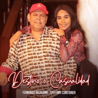 Destino O Casualidad - Single - Steffany Constanza & Fernando Villalona