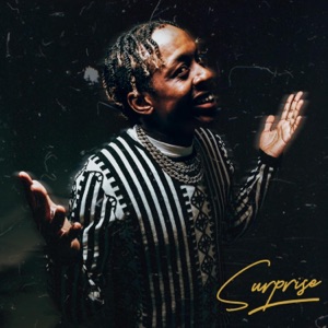 Surprise - Single