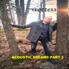 Acoustic Dreams, Pt. 3