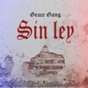 Sin ley (feat. Trece Ng) - Single