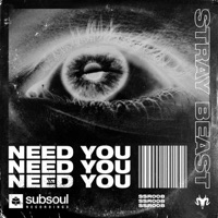 Stray Beast - Need You
