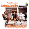 Por El Amor A Mi Madre - Antonio Aguilar