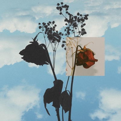 Last Chance (feat. Mooky) - Single