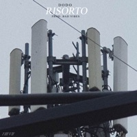 Risorto - Single - Dodo