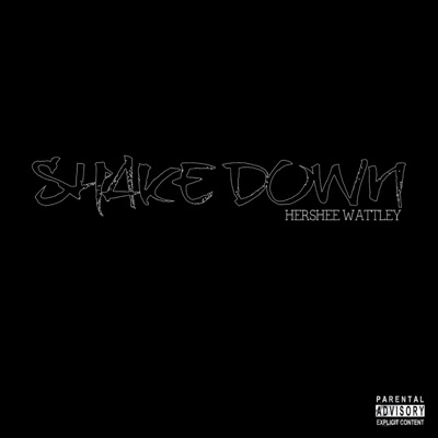 Shake Down - Single