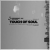 Peppermint Jam Pres. - Touch of Soul, Vol. 4 , 20 Soulful Tunes with the Love of Music, Compiled By Deepwerk, 2015