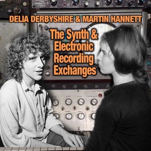 The Synth and Electronic Recording Exchanges