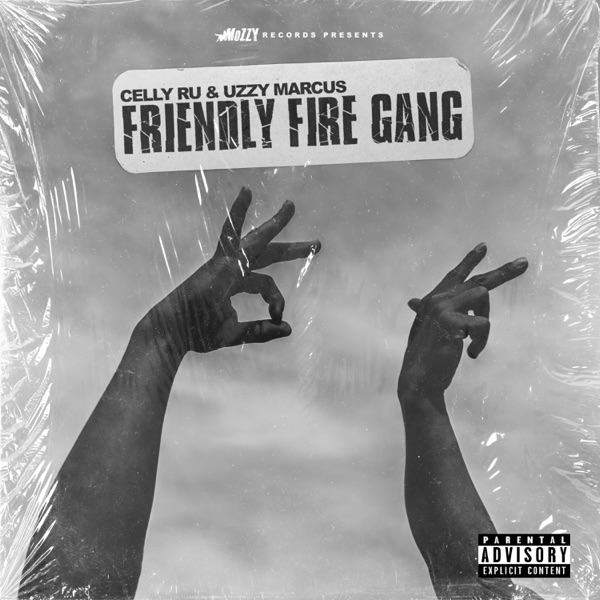 Friendly Fire Gang
