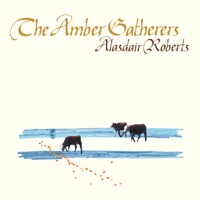 The Amber Gatherers - Alasdair Roberts