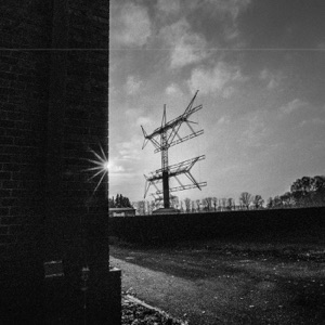 Signal - Single