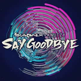 Say Goodbye (feat. Knutzy) SubPhex