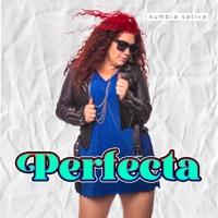 Perfecta - Single - Kumbia Sativa