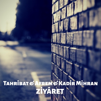 Ziyaret (feat. Afrem & Kadir Mihran) - Single