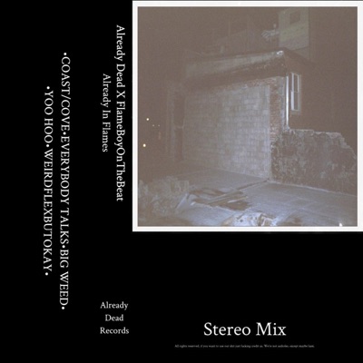 Already in Flames - EP