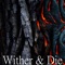Wither & Die (Devil May Cry) artwork