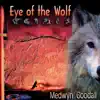 Medwyn Goodall - Spirits of the Mountain