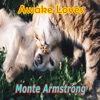 Monte Armstrong