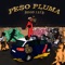 Peso pluma - SEGO1312 lyrics