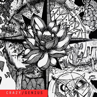 Crazy Genius - Single
