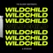 Wildchild - The Bloody Beetroots & Ephwurd lyrics