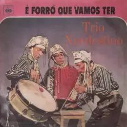 É Forró Que Vamos Ter - Trio Nordestino