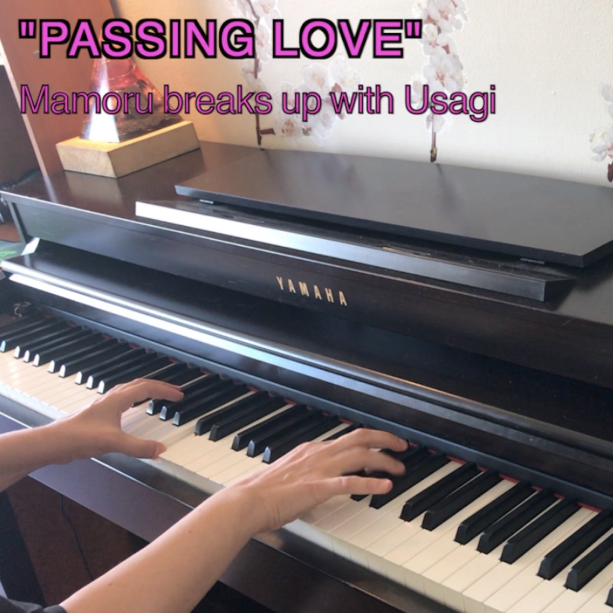 Passing Love" (From "Sailor Moon R") [Mamoru Breaks up with Usagi