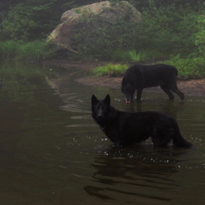 Still Thumbin (feat. Southsidesilhouette) - Single