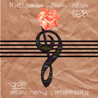 Metropolitan (Funk Version) - Single - SEB