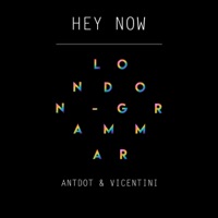 Hey Now (feat. Vicentini) - Single - Antdot