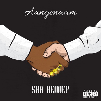 Aangenaam - Single