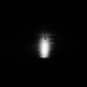 Molestation - Single