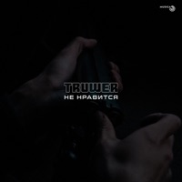 Не нравится - Single - Truwer