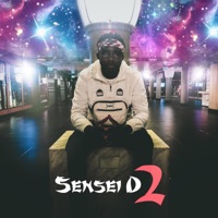Sensei D 2 - Ddark