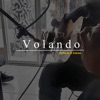 Volando (feat. Zelcius) - Single