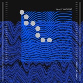 Many Moons - EP artwork