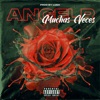 Angel Rojas Muchas Veces Muchas Veces - Single