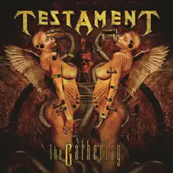 The Gathering - Testament