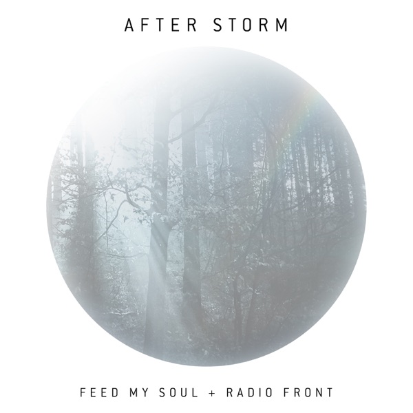After Storm (feat. Radio Front)