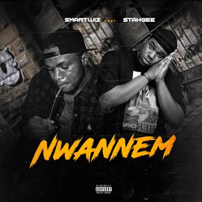 Nwannem (feat. Stahgee) - Single