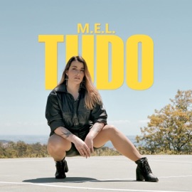 Tudo M.E.L.