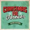 David Vaters - Christmas Eve Forever
