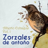 Zorzales de Antaño / Alberto Echague Vol. 1 artwork
