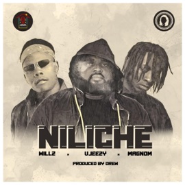 Niliche (feat. Willz & Magnom) Vjeezy
