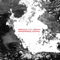 Understanding Forever (feat. døves) - Single - Cremation Lily & Døves