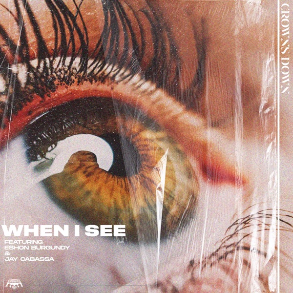 When I See (feat. Eshon Burgundy & Jay Cabassa)