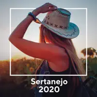 Para, Pensa e Volta
