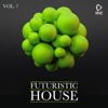 Futuristic House, Vol. 7