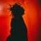 Situation - Don Toliver lyrics